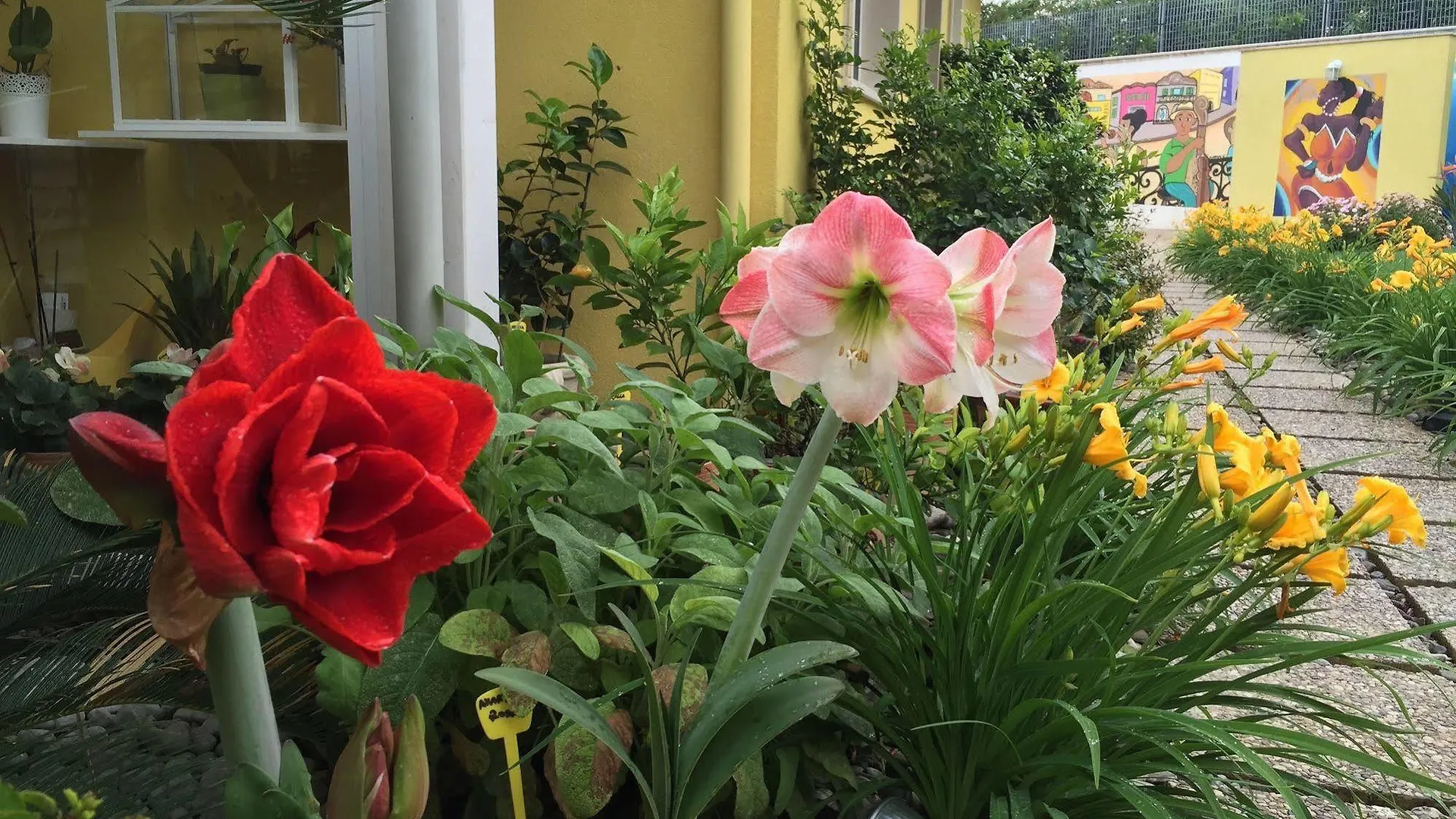 La Casa (Adults Only) Bed and Breakfast Μπάρι
